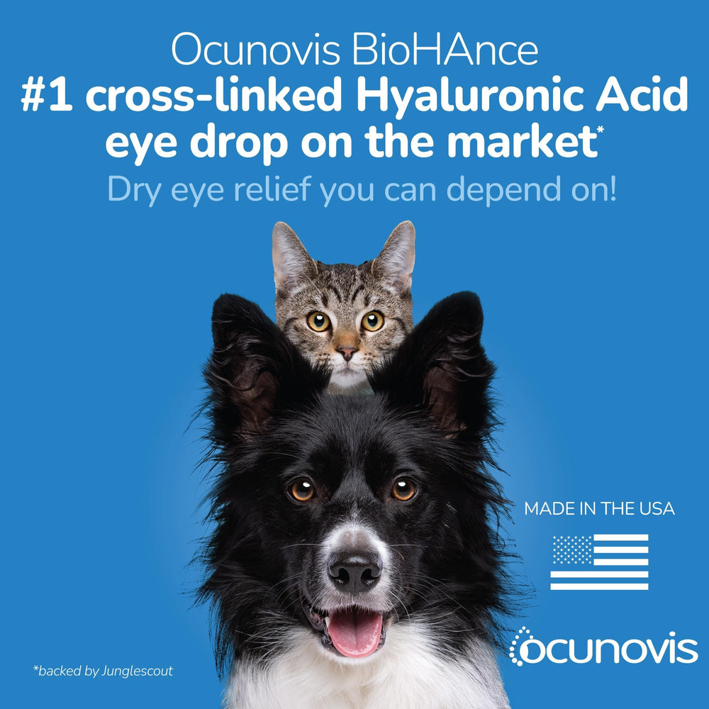 Gato con ojos hidratados gracias a Ocunovis.