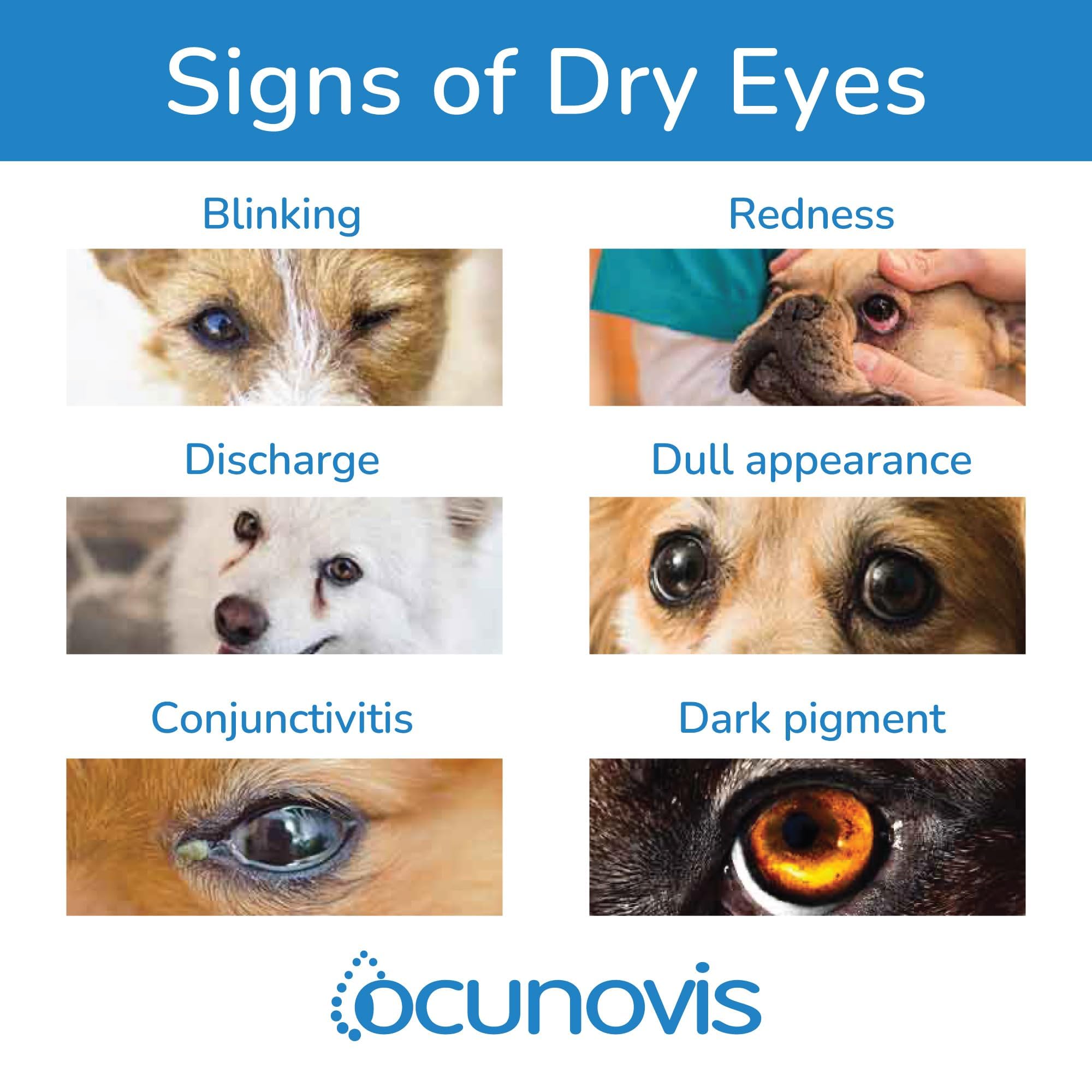Uso diario de gotas Ocunovis, apto para perros y gatos.
