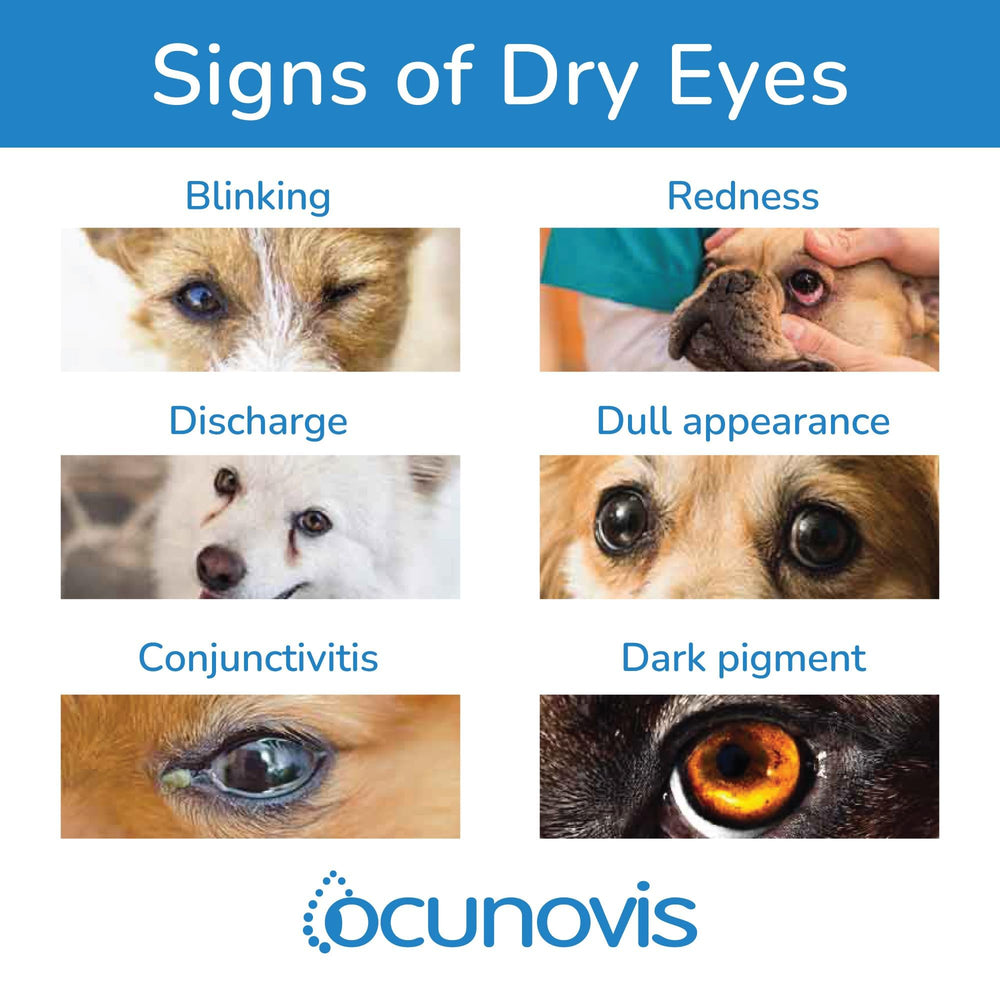 Uso diario de gotas Ocunovis, apto para perros y gatos.