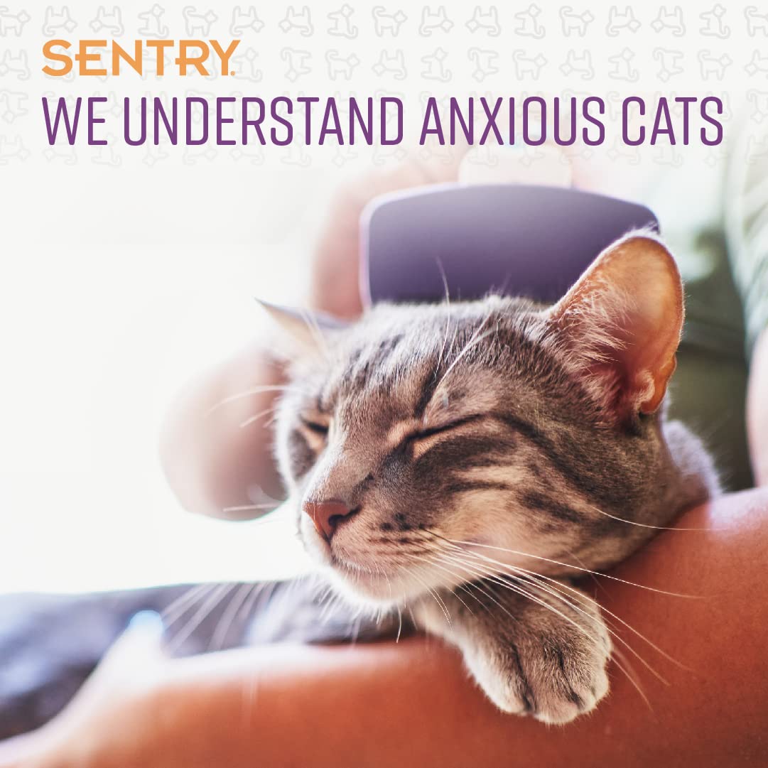 Sentry aerosol calmante para gatos, en viajes o separaciones cortas, favorece una convivencia más tranquila.