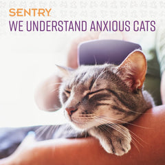 Sentry aerosol calmante para gatos, en viajes o separaciones cortas, favorece una convivencia más tranquila.
