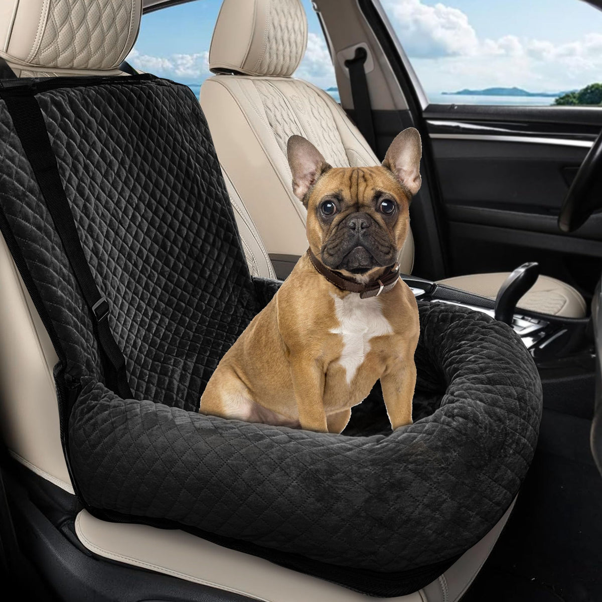 Sephyroth asiento para perro en coche, vista frontal para viajes estables.