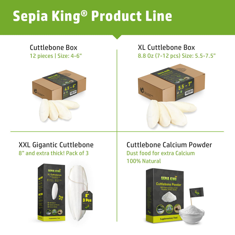 Sepia King hueso de sepia para caracoles, nutrición esencial