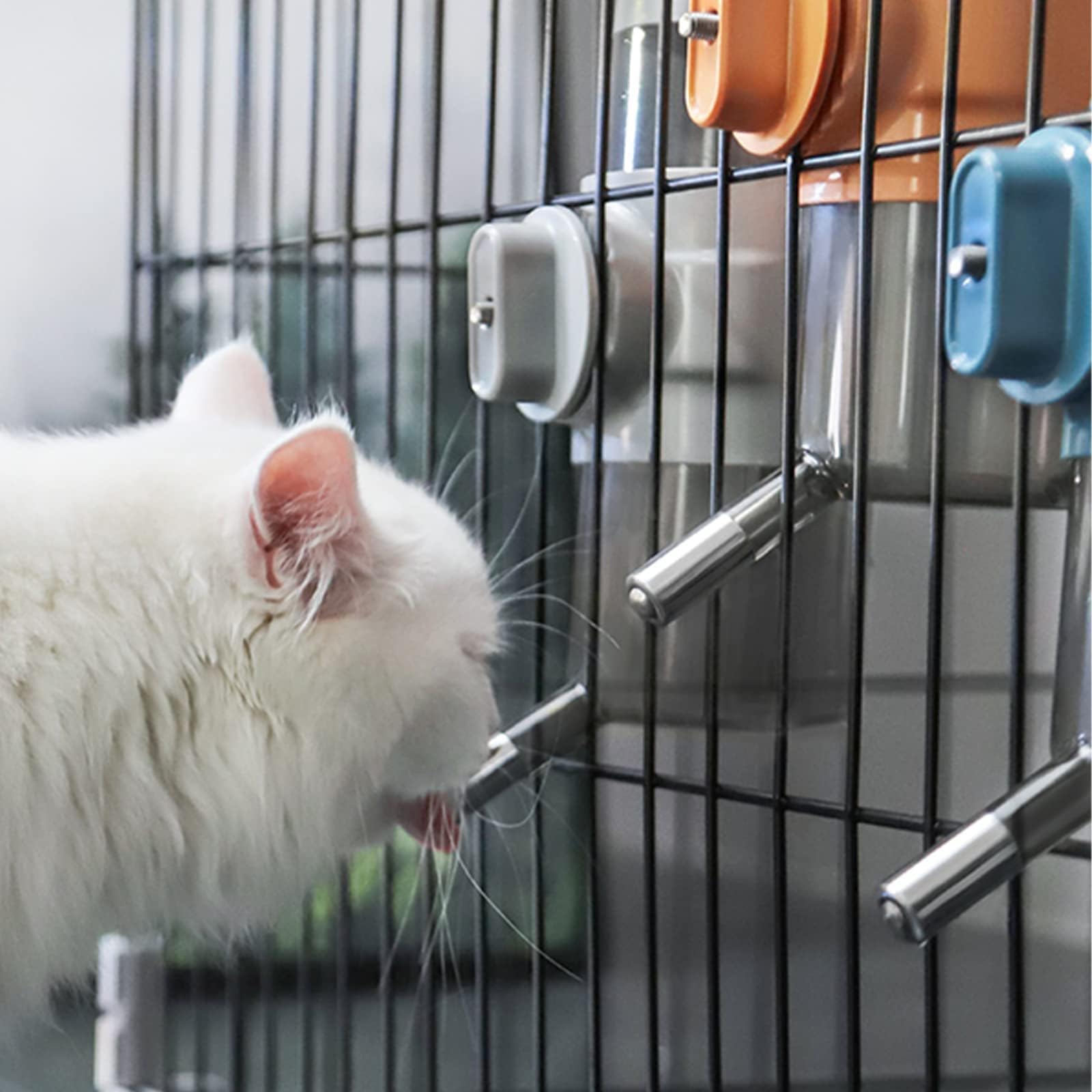 Septillar botella para mascotas multipropósito hidrata con facilidad.