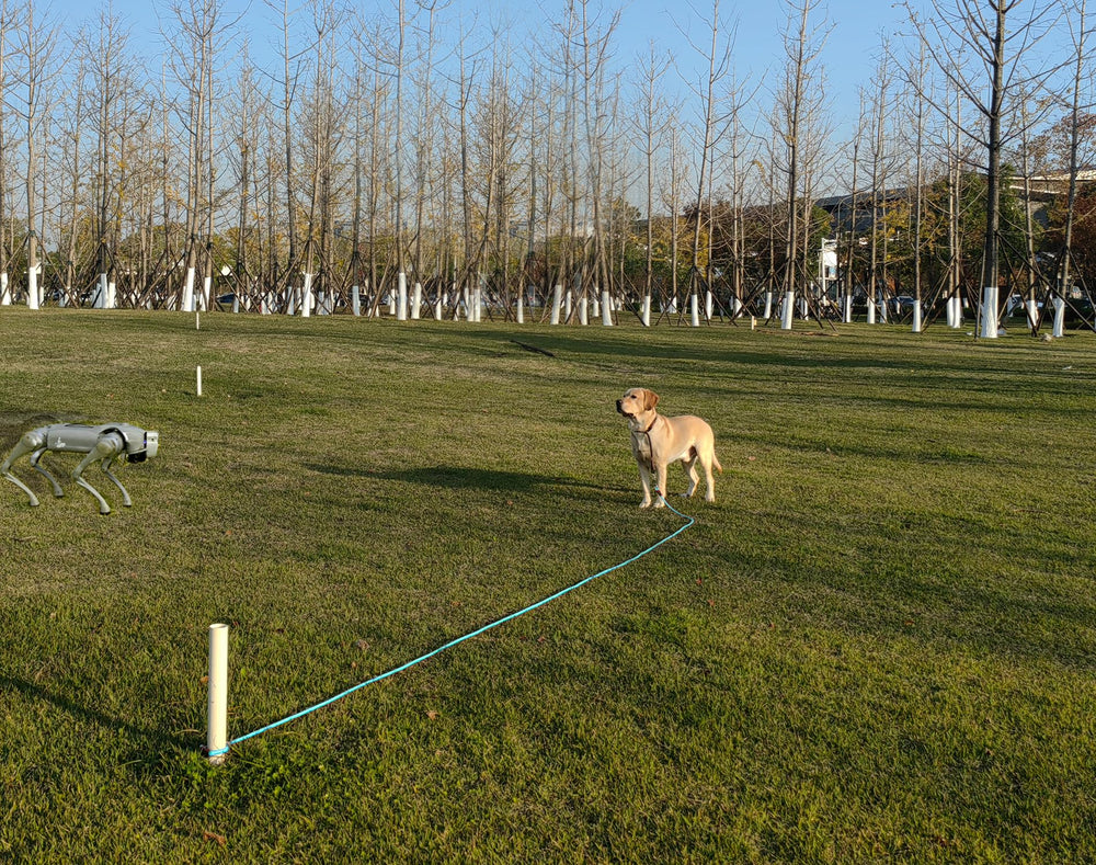 SEPXUFORE cuerda de amarre para perros de 35 pies, tacto suave y manejo cómodo.