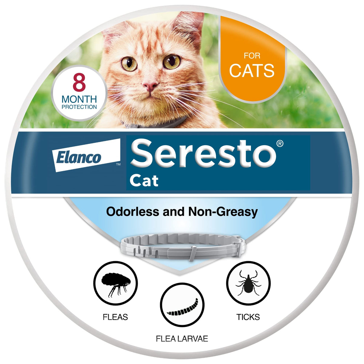 Seresto para gatos: collar que combate pulgas y garrapatas sin mordidas.