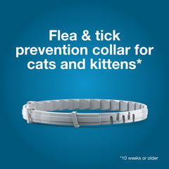 Seresto collar para gatos recomendado por veterinarios.