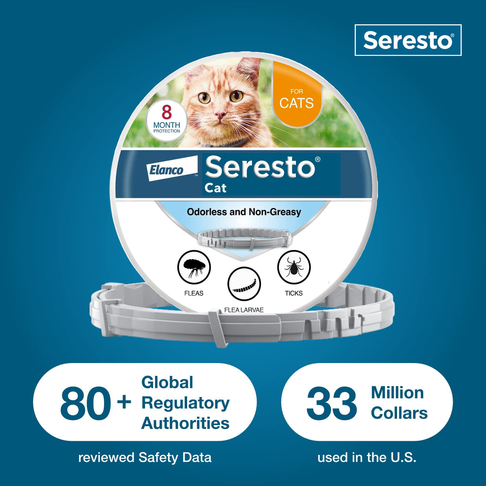 Seresto collar resistente al agua para gatos activos.