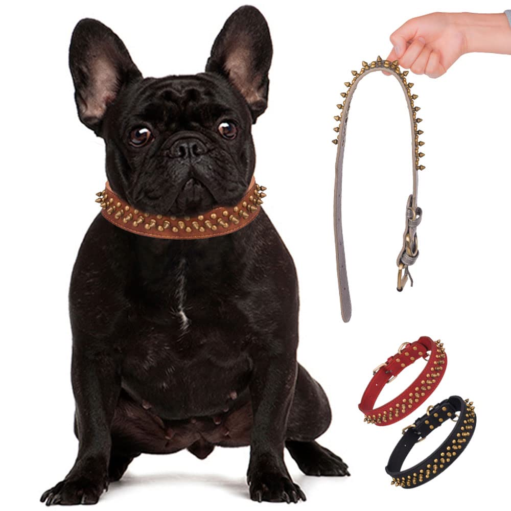 Serijoars collar perro ajuste seguro con hebilla, cómodo de poner.