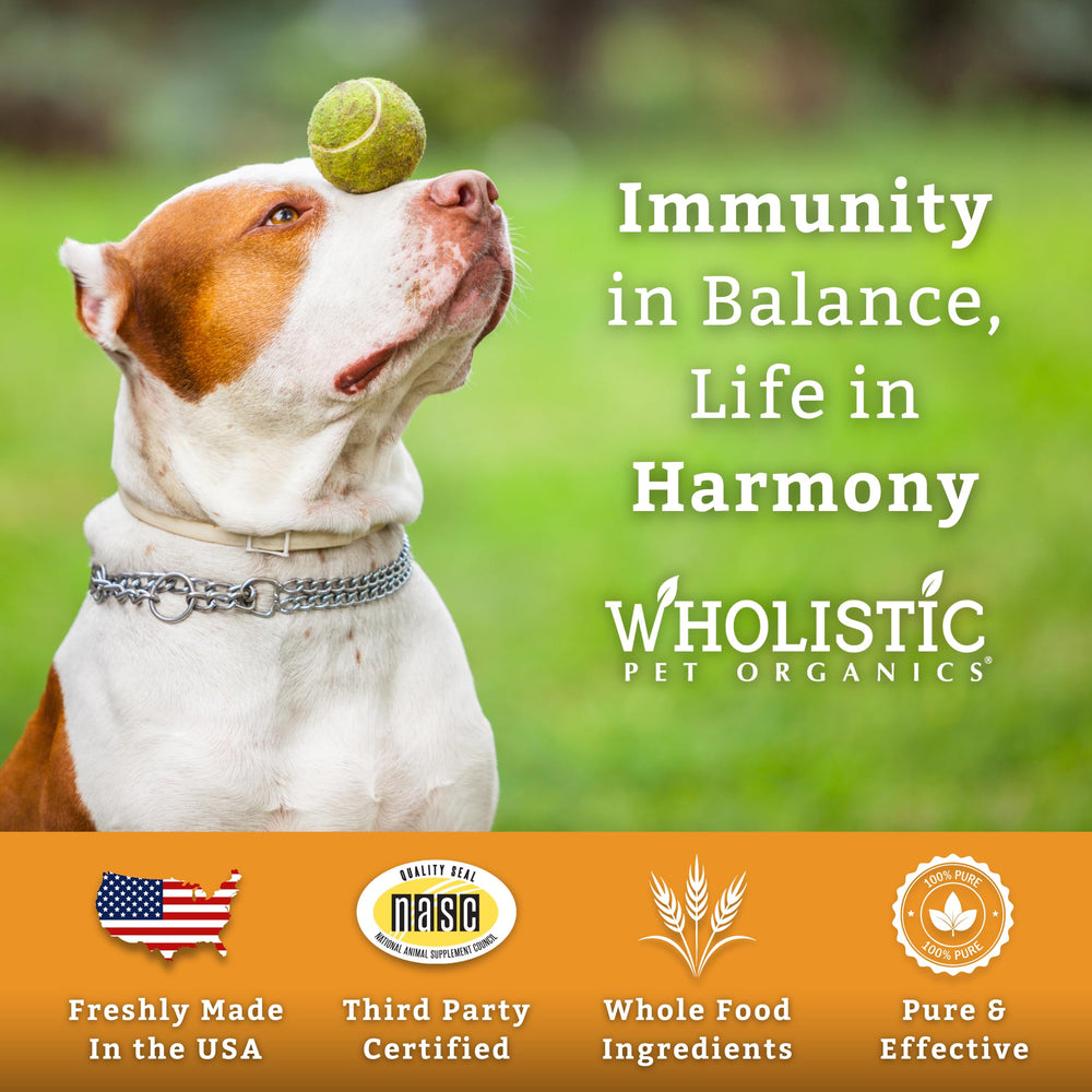Mascotas recibiendo Colostrum Wholistic como snack saludable y suave