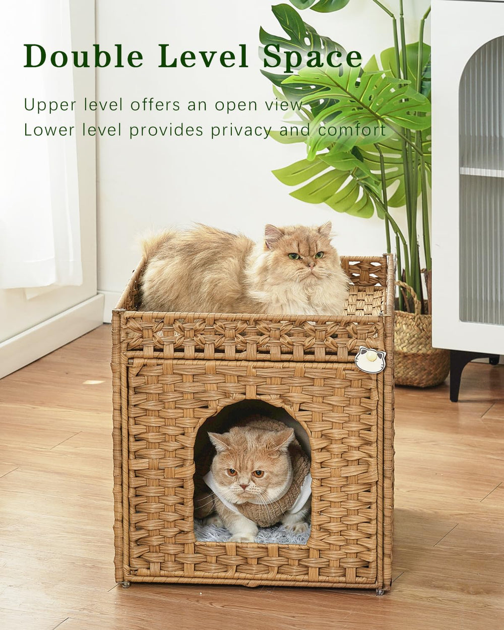 SETVSON cojines de dos caras, confort versátil para gatos en casa.
