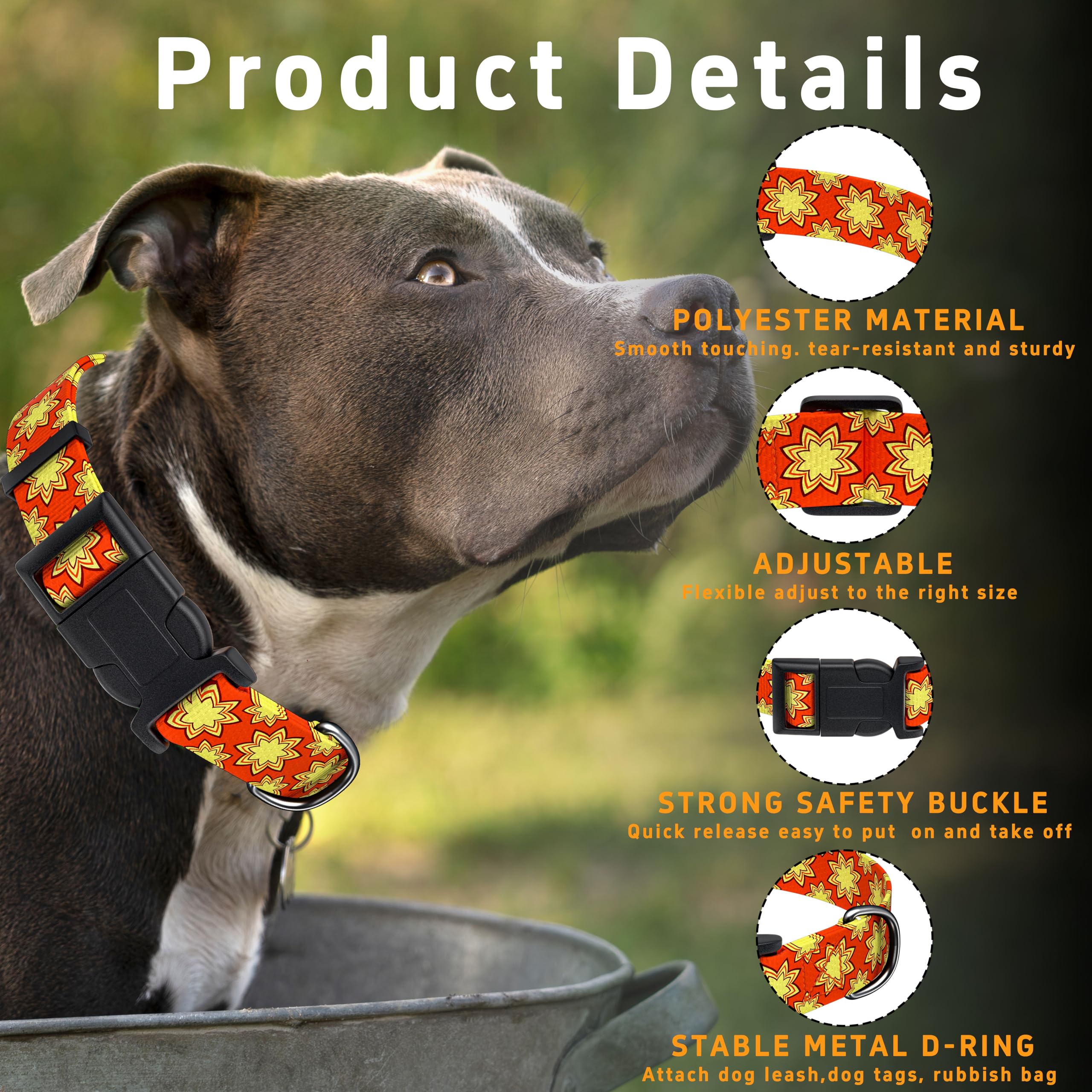 Collar Seyezo para perro, ajuste ajustable para mejor comodidad.
