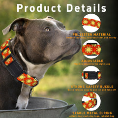 Collar Seyezo para perro, ajuste ajustable para mejor comodidad.