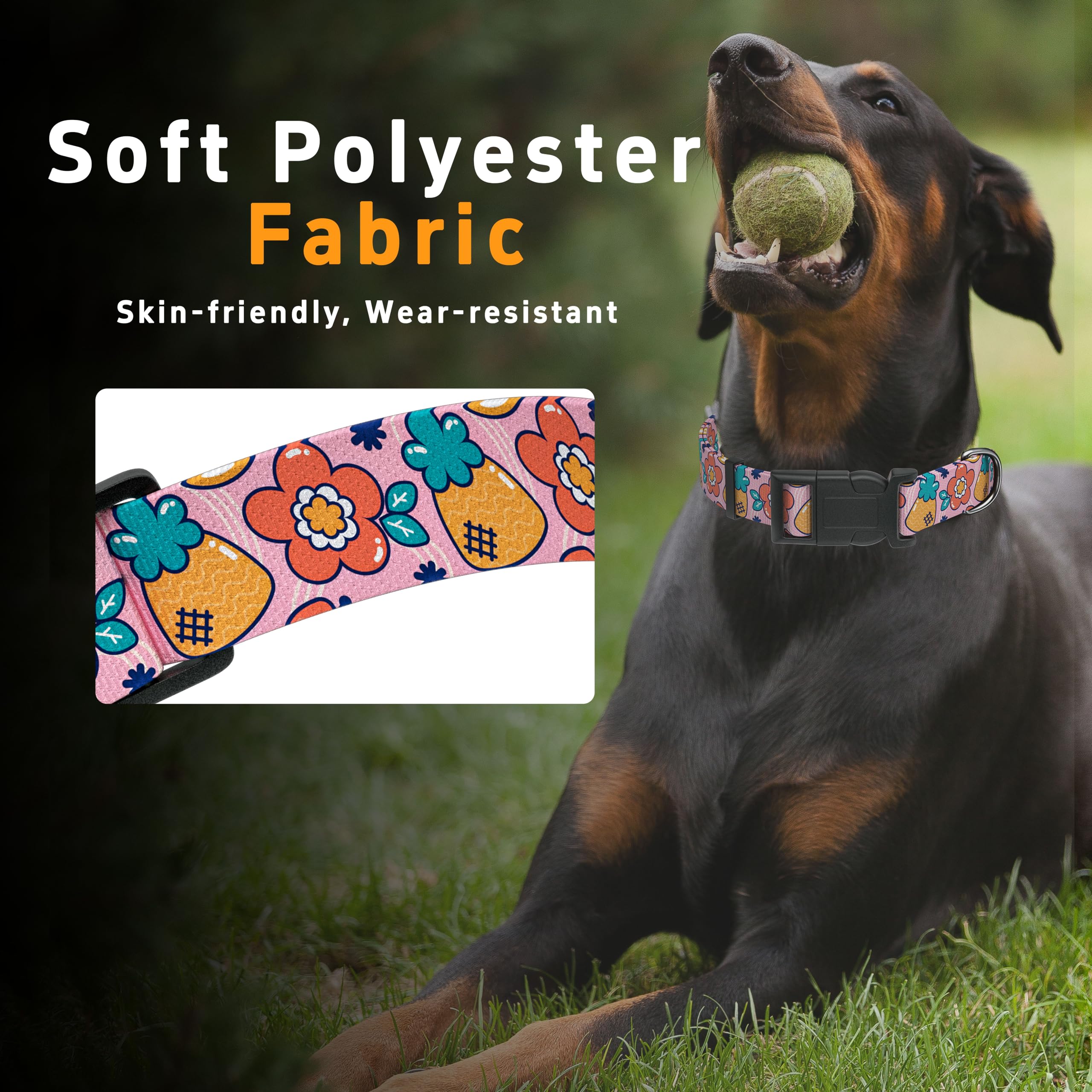 Diseño moderno del collar Seyezo, perfecto para paseos diarios y looks con estilo.
