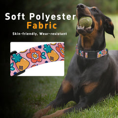 Diseño moderno del collar Seyezo, perfecto para paseos diarios y looks con estilo.