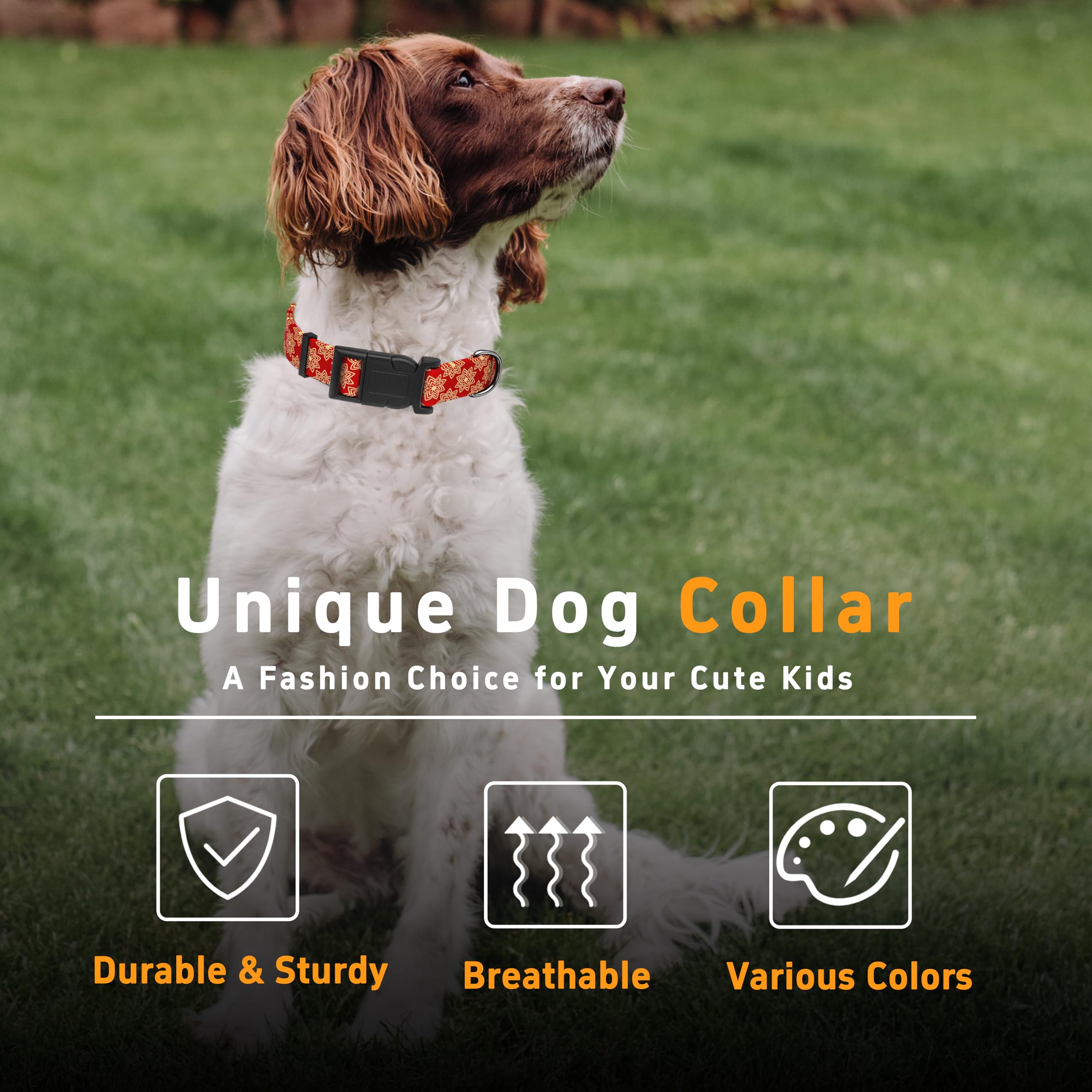 Collar Seyezo de estilo indio para perros machos y hembras, look único.