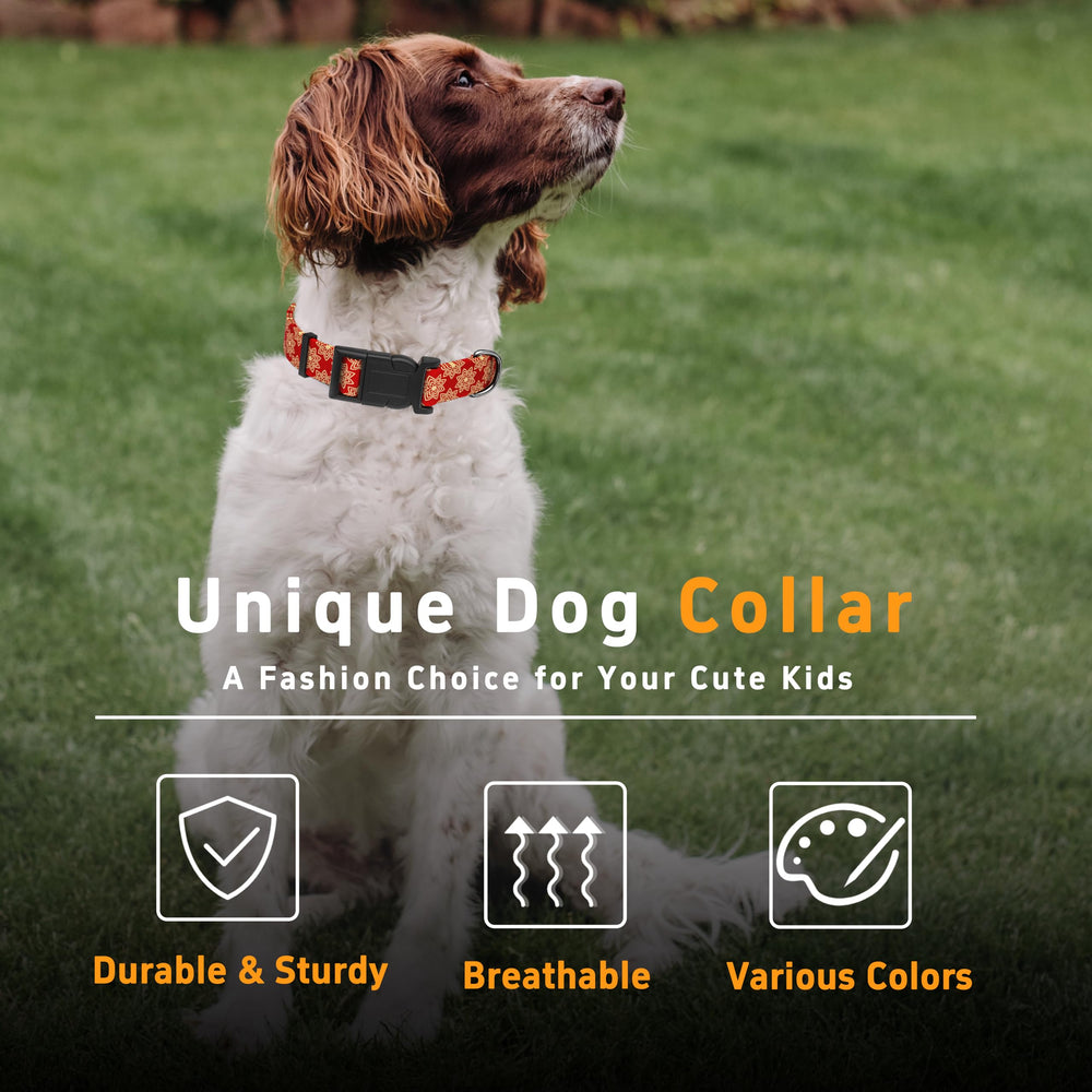 Collar Seyezo de estilo indio para perros machos y hembras, look único.