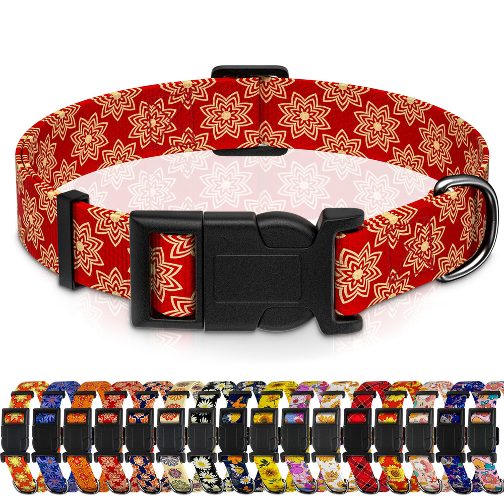 Collar Seyezo para perro con diseño indio clásico en rojo, ideal para paseos.