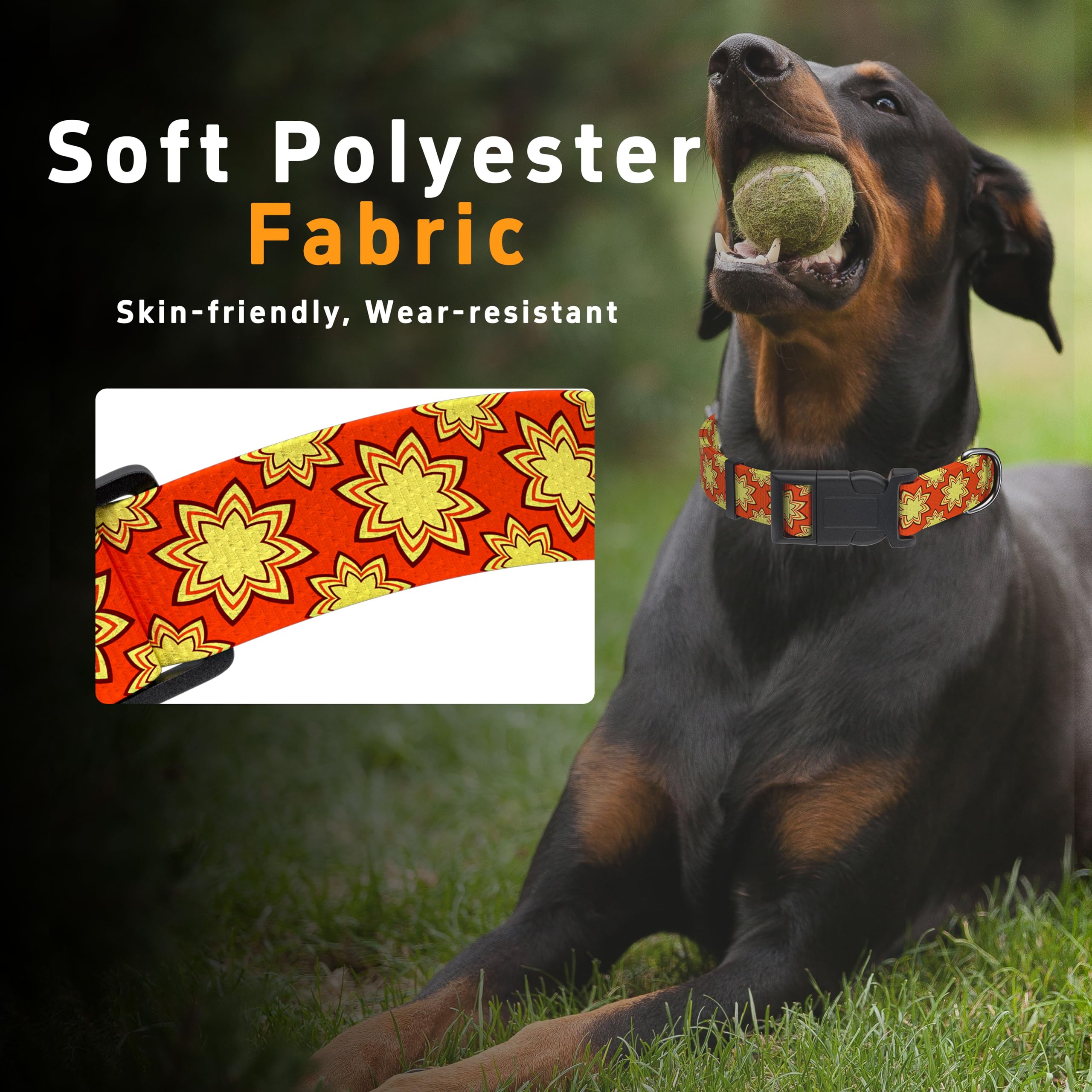 Seyezo collar perro material alta densidad, duradero tras lavados.