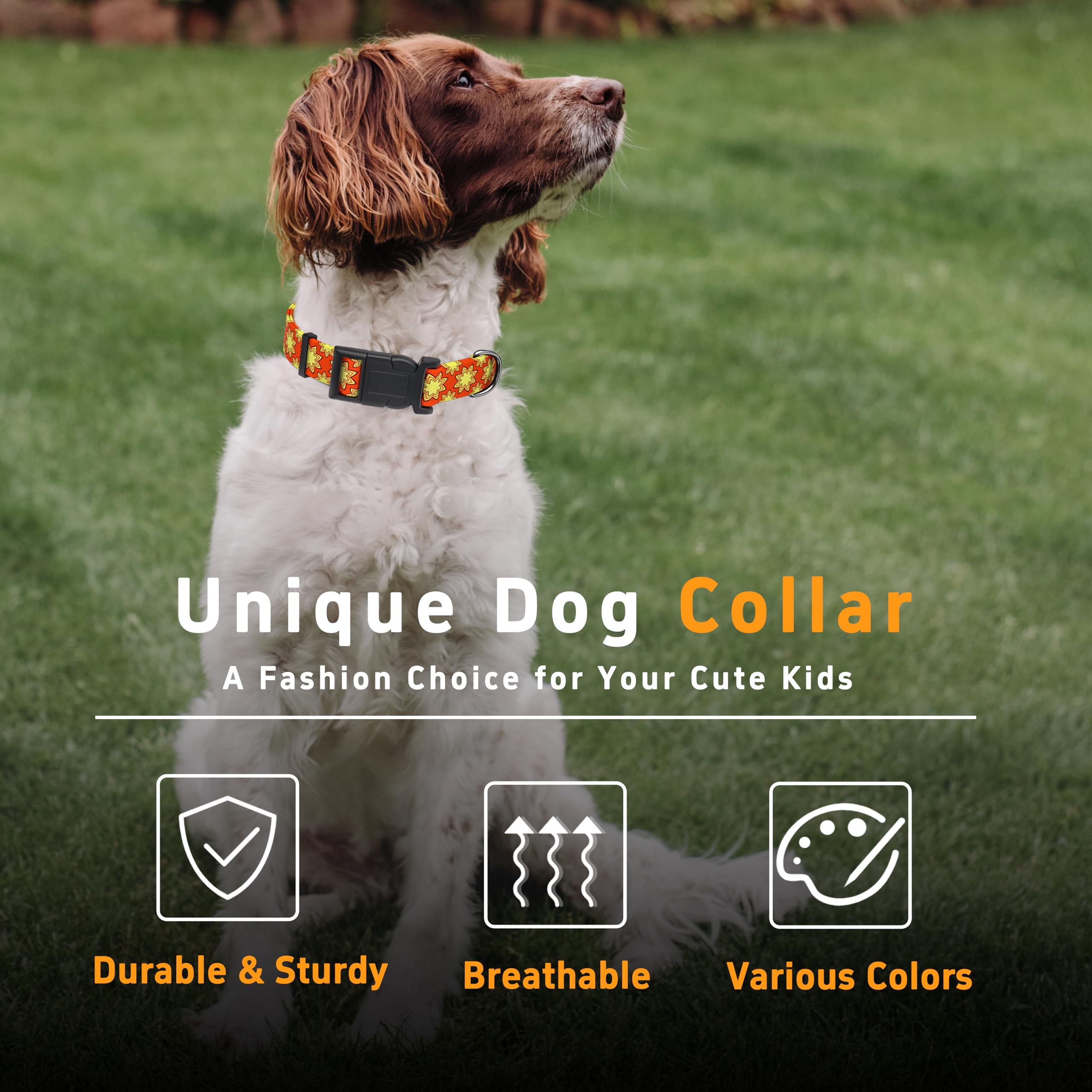 Seyezo collar para perro con patrón indio clásico, ideal para salir.