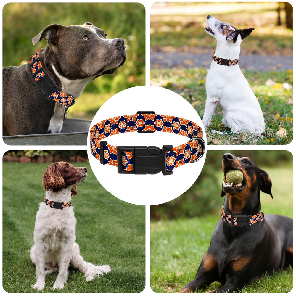 Collar Seyezo perfecto para uso diario y paseos en el parque.