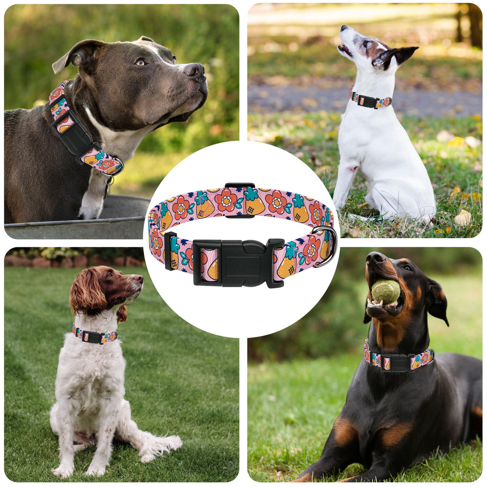 Collar Seyezo para perros, ideal para salidas diarias y estilo.