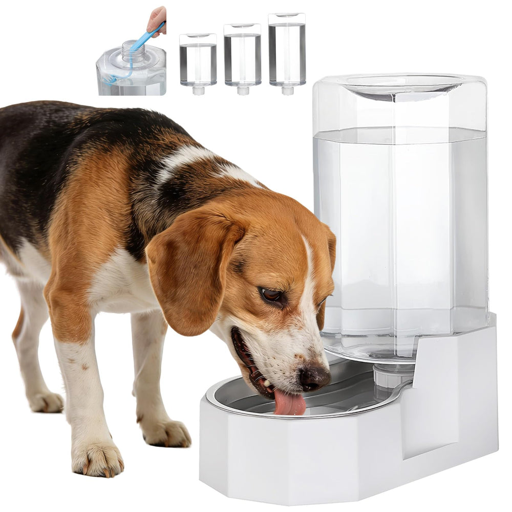 Sfozstra dispensador agua 8L, vista-general, fuente estable para mascotas en casa.