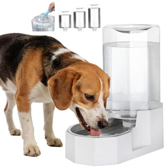 Sfozstra dispensador agua 8L, vista-general, fuente estable para mascotas en casa.