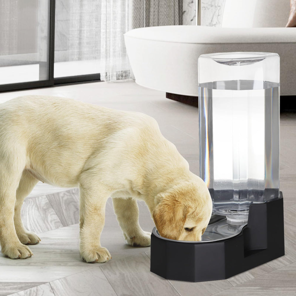 Sistema de gravedad Sfozstra garantiza agua constante para mascotas.