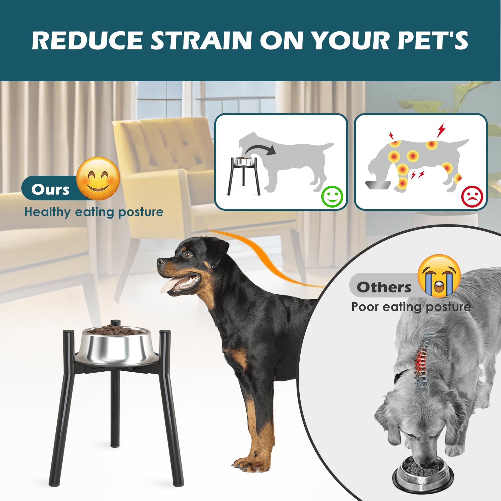 SHAINFUN ayuda a una postura de alimentación más natural y cómoda para perros grandes.