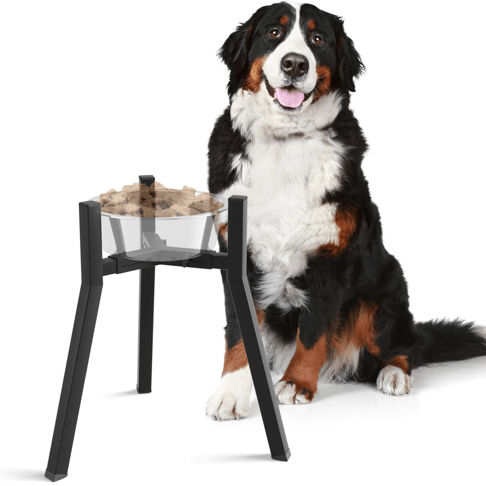 SHAINFUN soporte elevado para perro con plato a altura cómoda durante la comida
