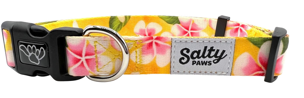 Anilla en D del collar Shaka's Salty Paws, mayor seguridad.