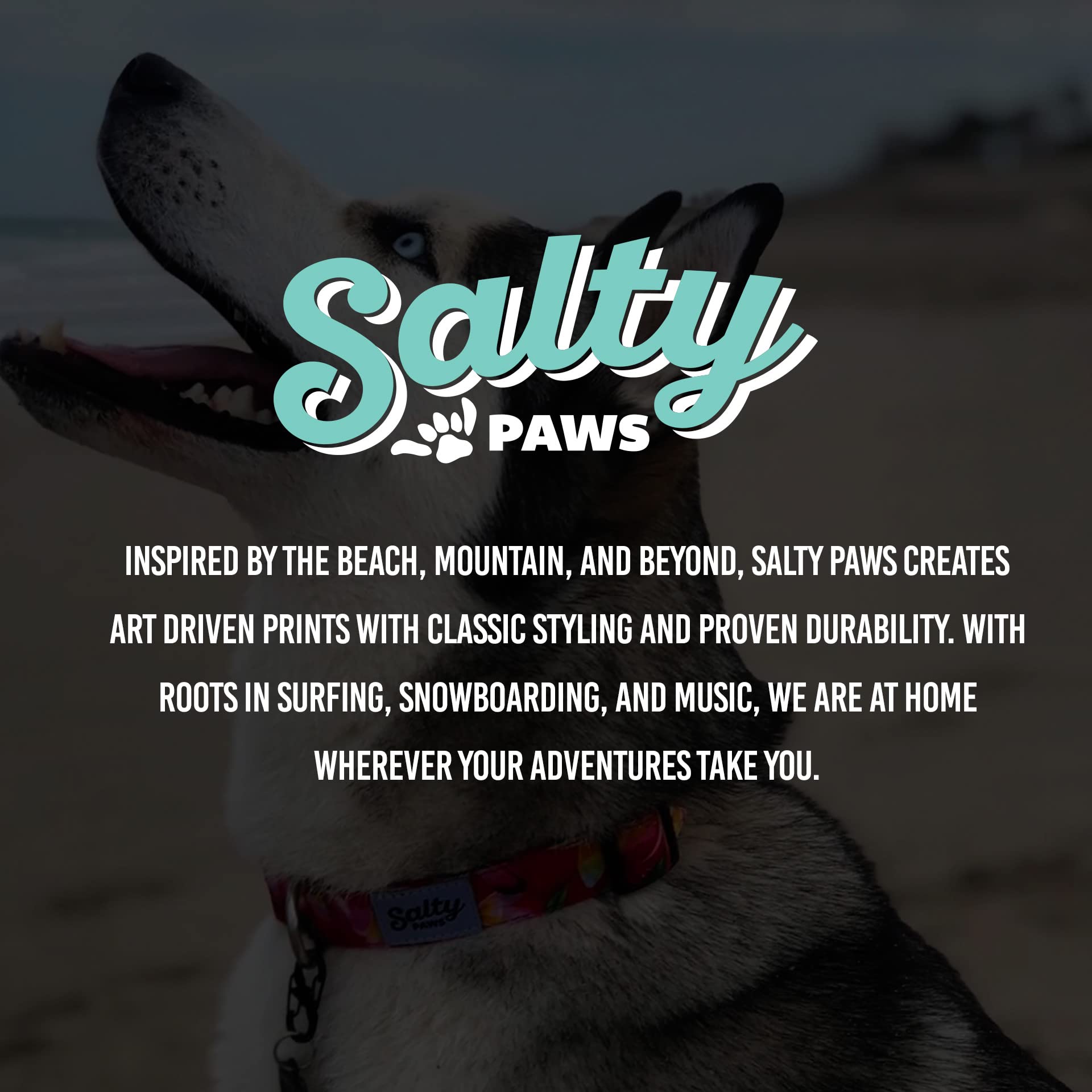 Collar tortugas D. Friel de Shaka's Salty Paws, diseño único para exteriores