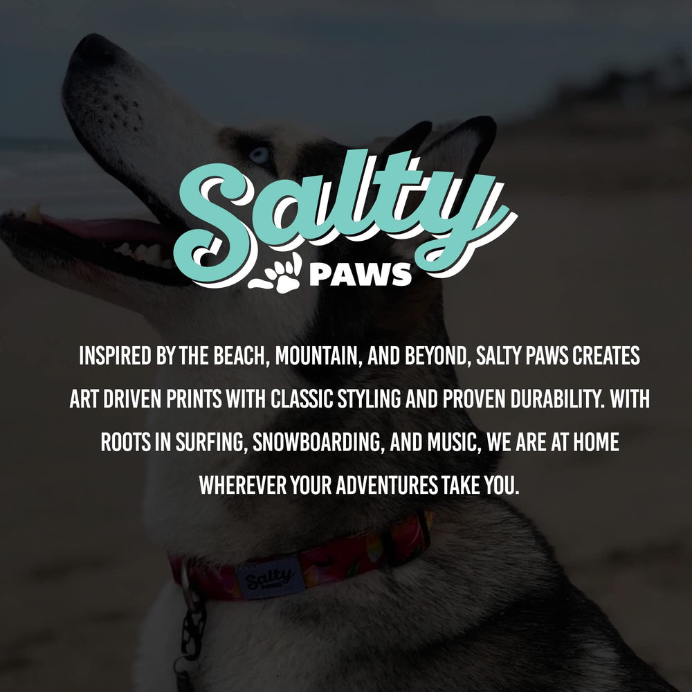 Collar tortugas D. Friel de Shaka's Salty Paws, diseño único para exteriores