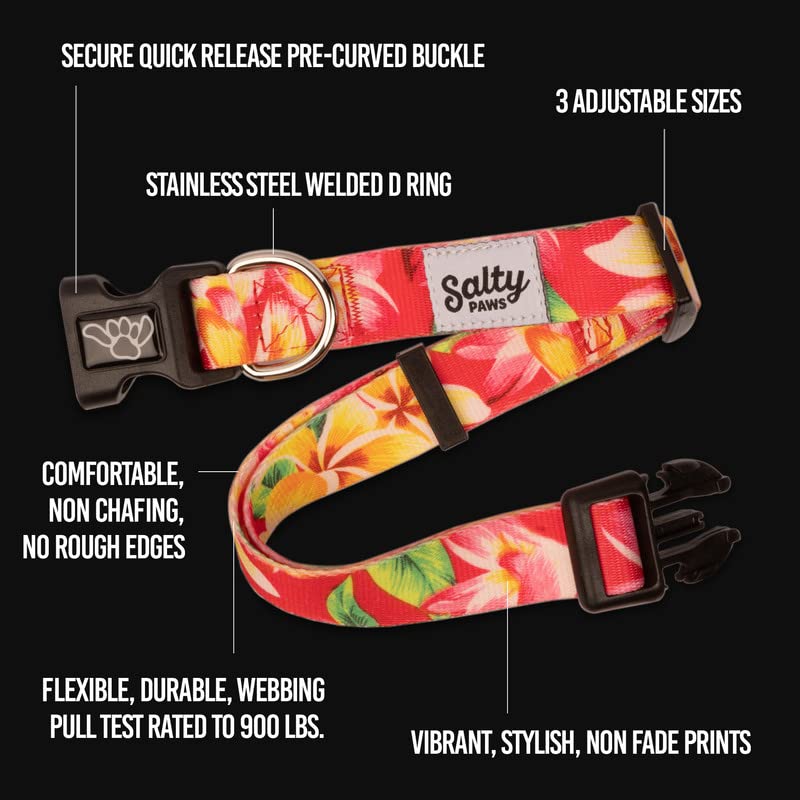 Prueba de resistencia del collar Shaka's Salty Paws, diseño duradero.