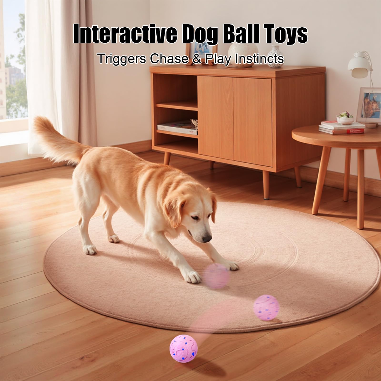 Shapana bola interactiva en acción, movimiento automático para perros.