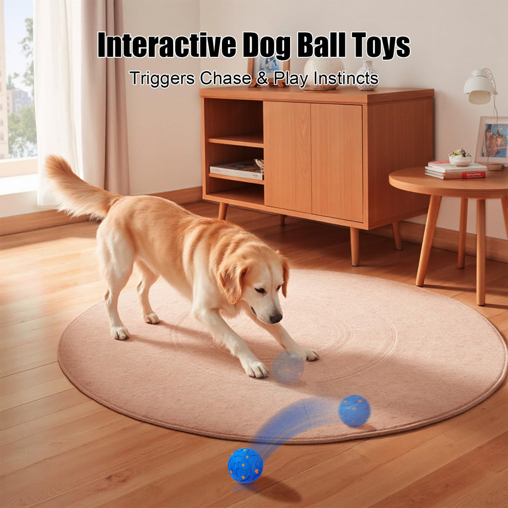Shapana bola: modo Loco para perros activos, estimulación mental y ejercicio continuo