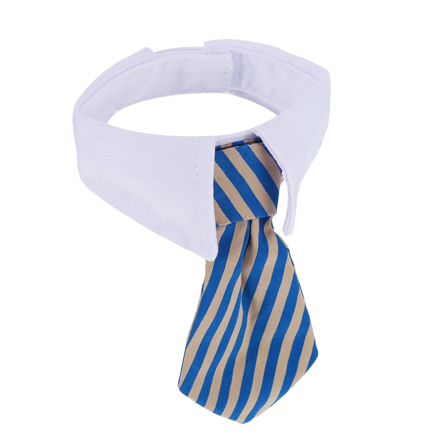 Shappy accesorio para cuidado de aseo en mascotas