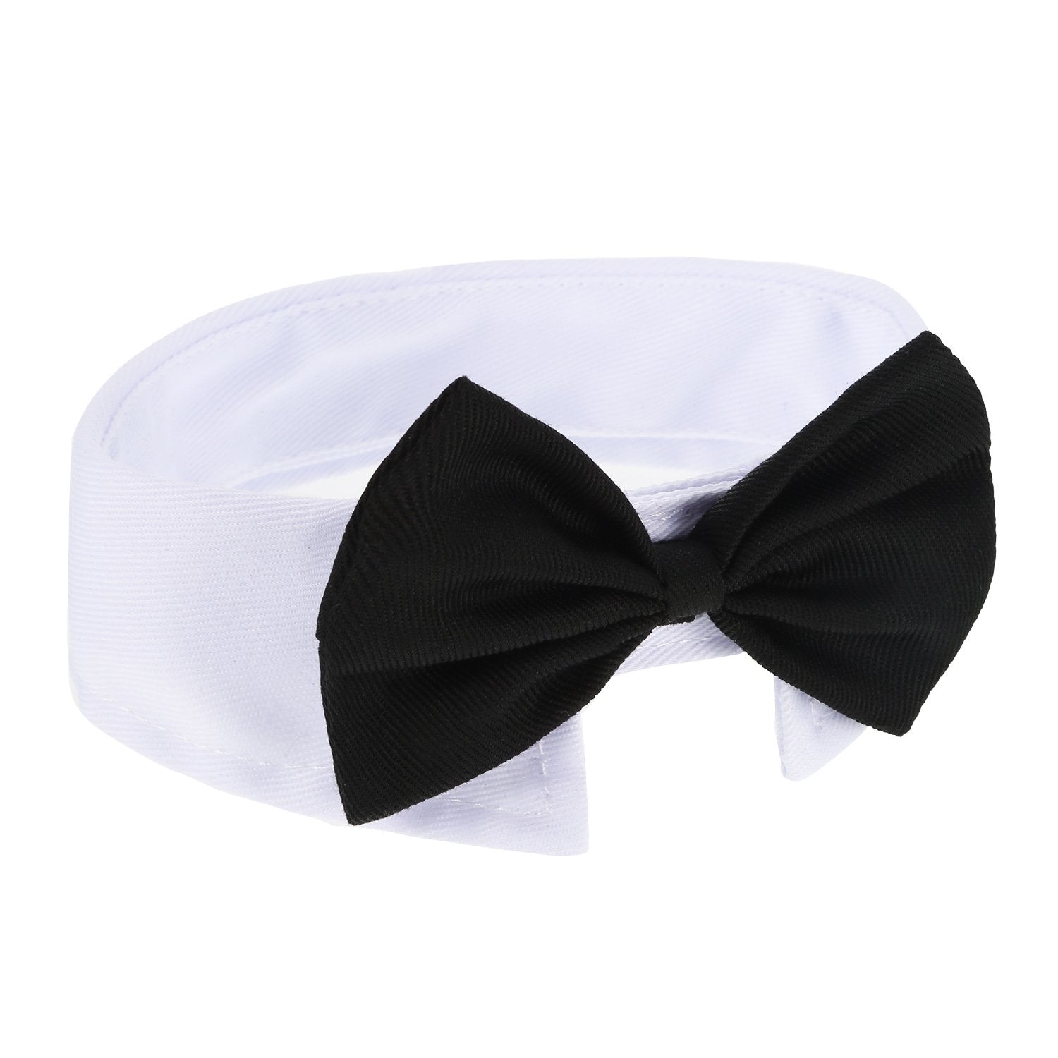 Shappy collar ajustable para mascotas fácil de usar