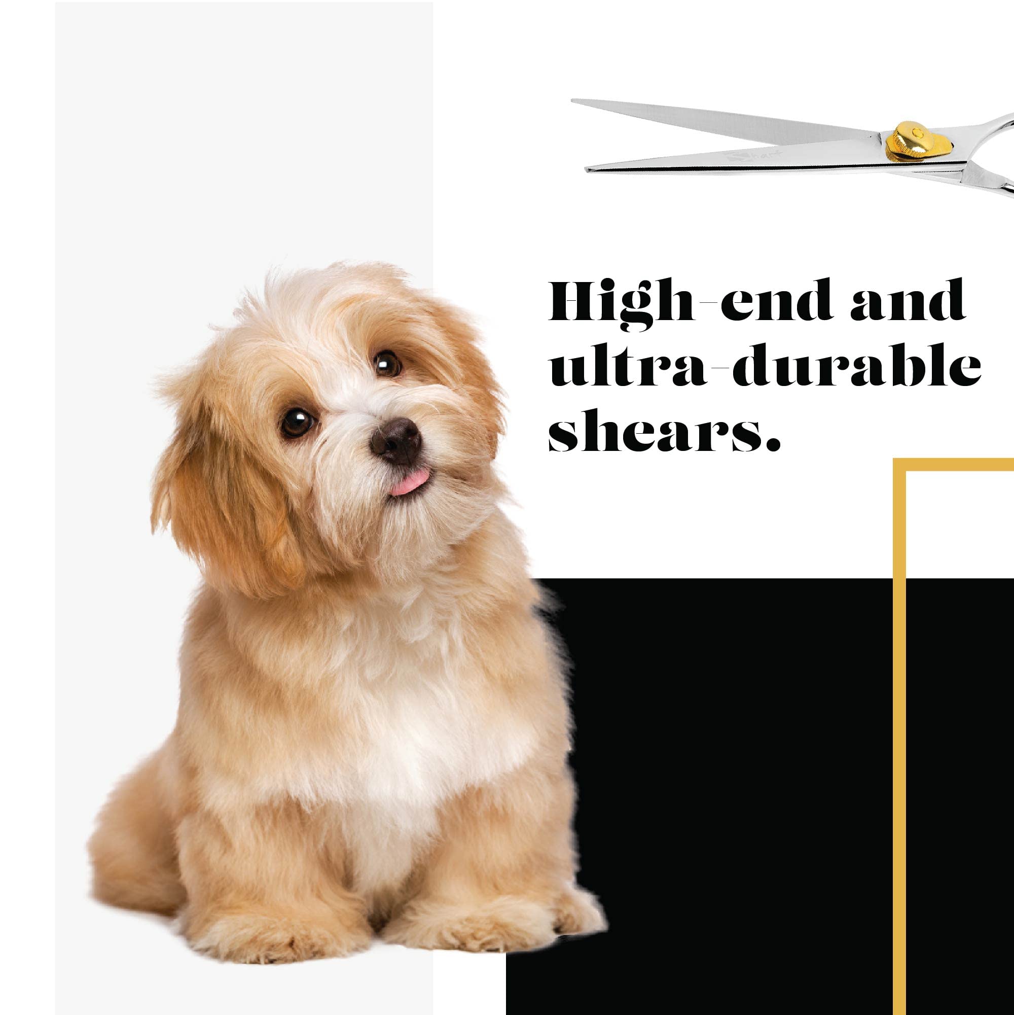 Pulido final de Sharf Gold Touch y pruebas de calidad para rendimiento consistente.