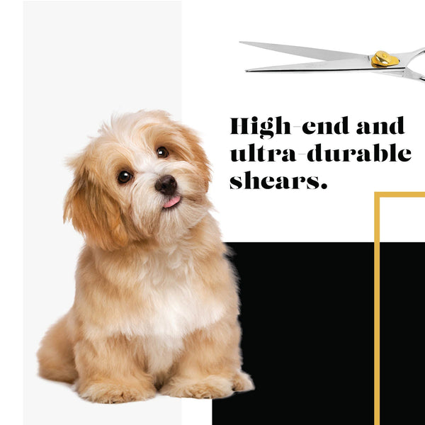 Pulido final de Sharf Gold Touch y pruebas de calidad para rendimiento consistente.