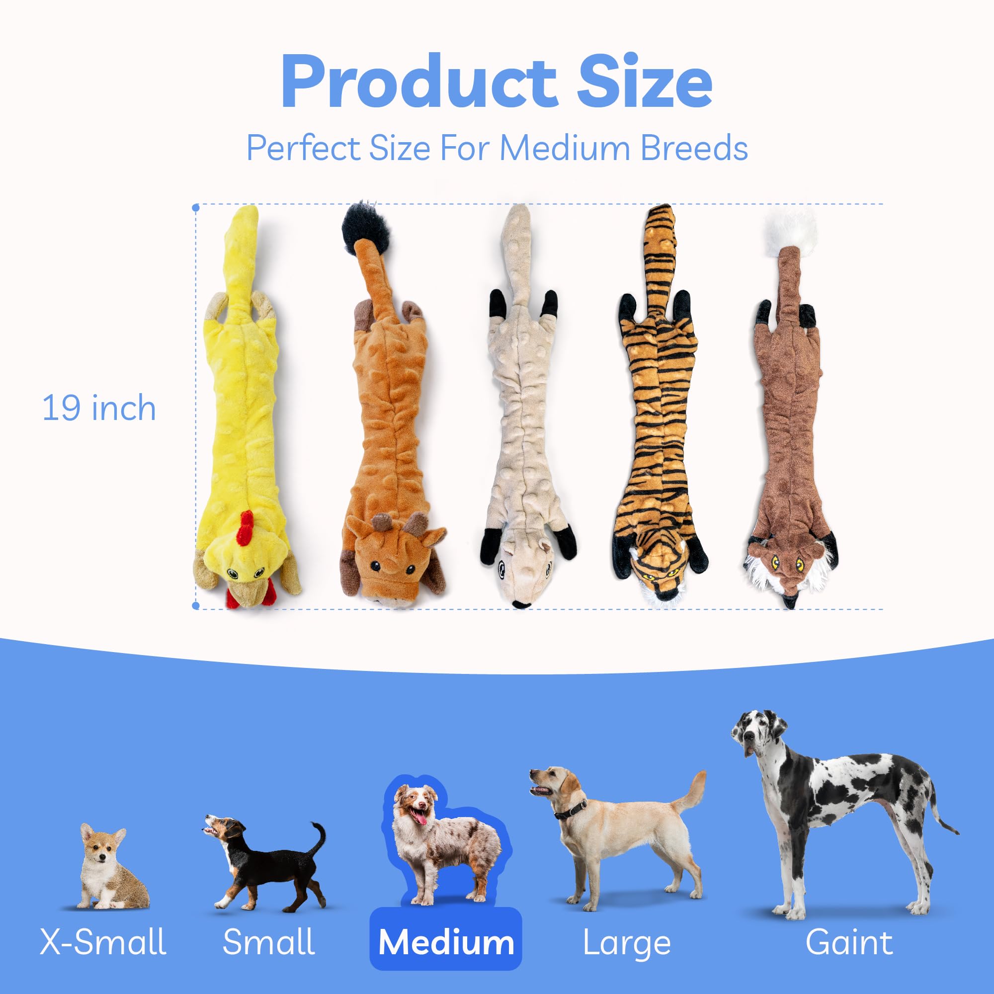 Regalo ideal SHARLOVY para cumpleaños y fiestas