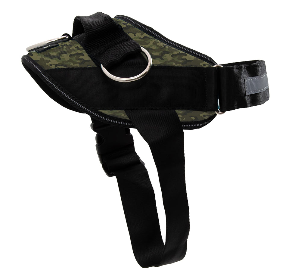 ShawnCo Arnes Essential: vista frontal, sin tirones, ideal para paseos controlados.