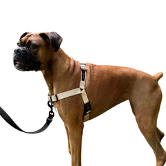 ShawnCo Dream Walk: arnés para perro sin tirones con ajuste cómodo