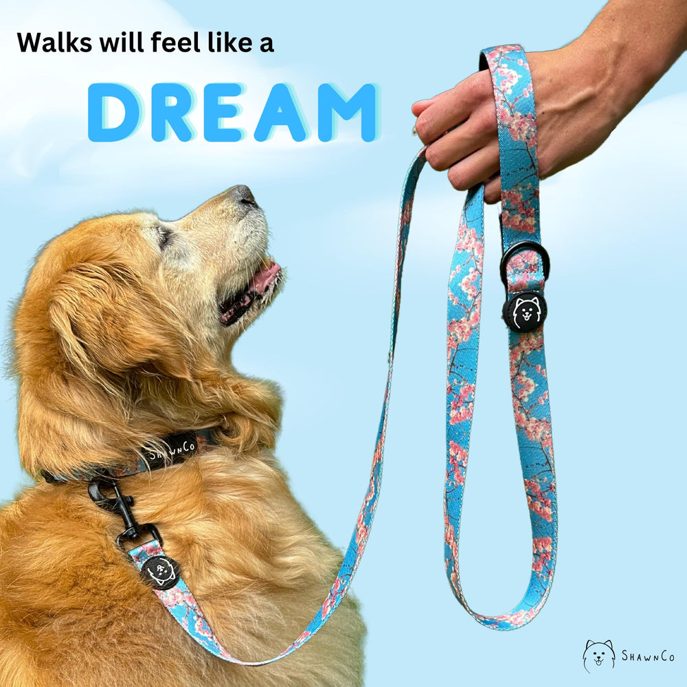 ShawnCo Dream Walk: hecho en Estados Unidos apoyando a una pequeña empresa.