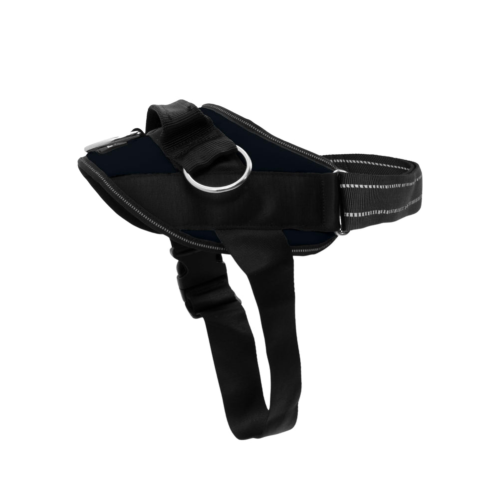 SHAWNCO Essential Harness frente al perro, comodidad y seguridad en paseos