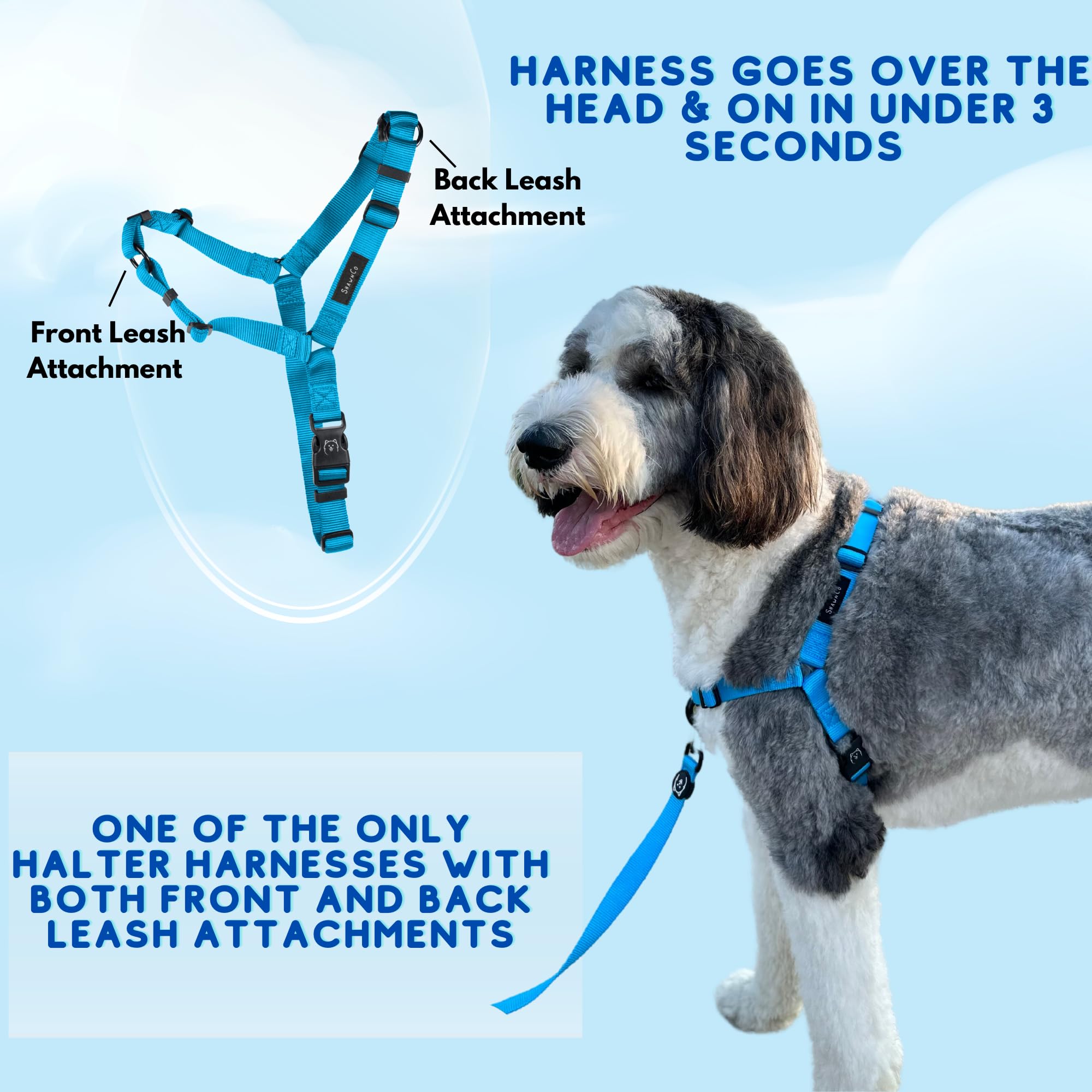 Diseño elegante y fresco para perros activos en todo tipo de clima.