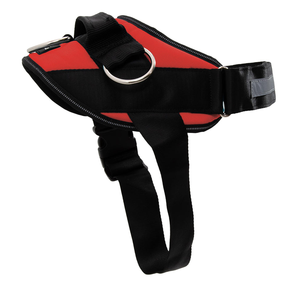 ShawnCo Arnés Esencial, vista general sin tirones para paseos seguros
