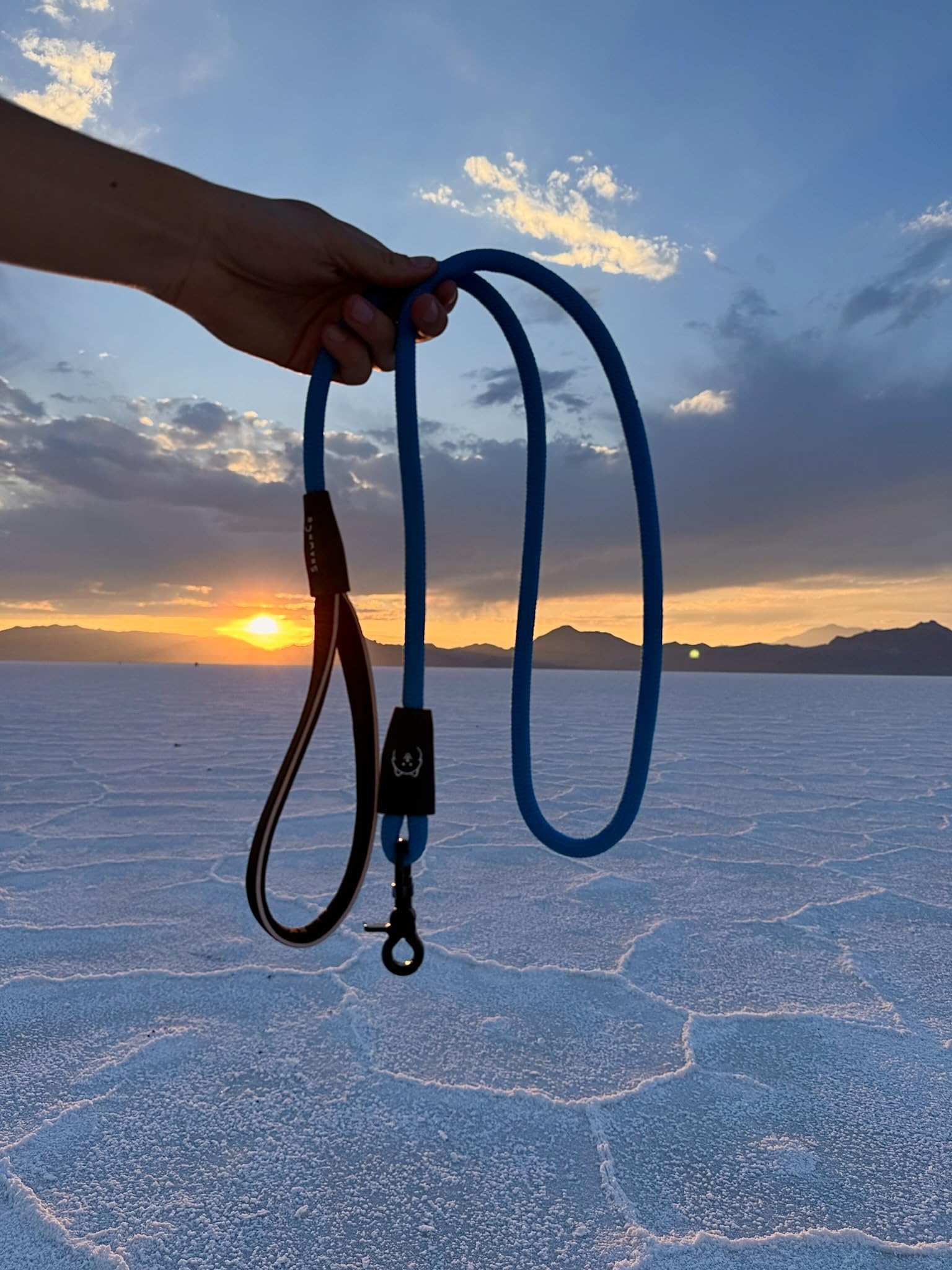 ShawnCo diseño azul oceano: apariencia atractiva y visibilidad mejorada
