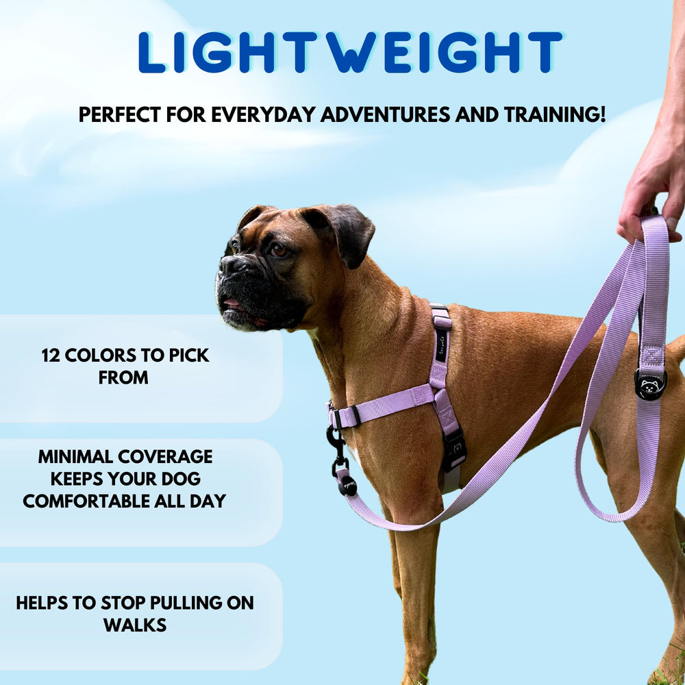 ShawnCo Dream Walk, diseño minimalista que mantiene al perro fresco